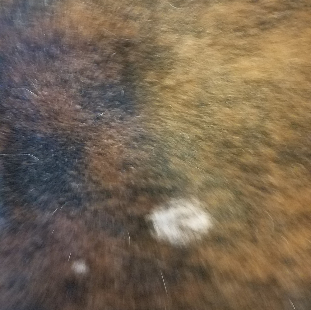 Chesterfield Cowhide Rugs 6x8 - Picture 5 of 8